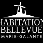 Bellevue-Logo